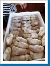Klicken Sie auf das Bild, um es zu vergrößern